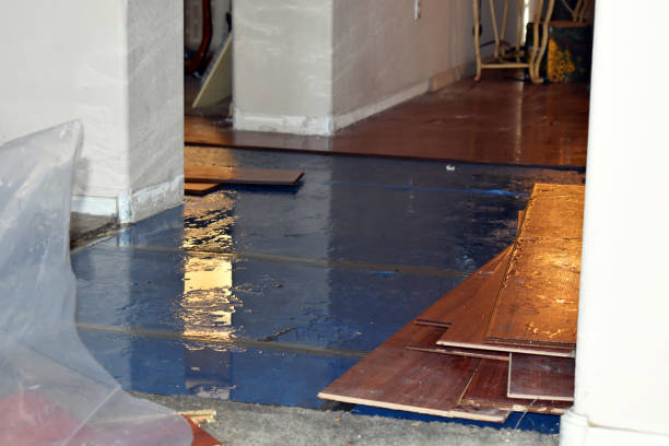 Professional Basement Water Removal technician working in Bancroft, MI