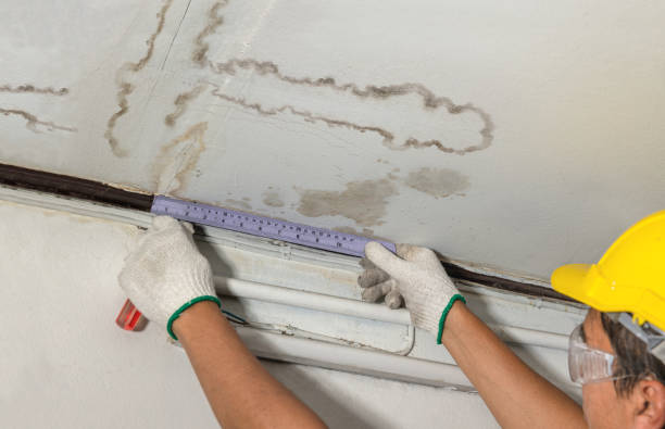 Reliable Basement Water Removal contractor in Bancroft, MI by Water Damage Irwin